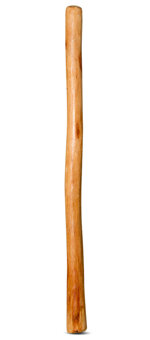 Medium Size Natural Finish Didgeridoo (TW560)